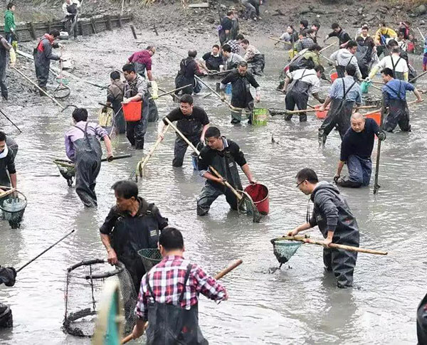 湖南華億生態(tài)農(nóng)業(yè)發(fā)展有限責(zé)任公司,株洲農(nóng)家樂,湖南戶外拓展,株洲哪里好玩,自助燒烤,露營,會議團體接待