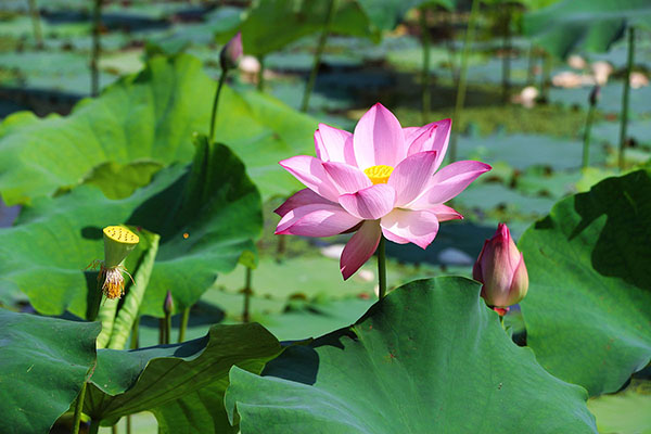 湖南華億生態(tài)農(nóng)業(yè)發(fā)展有限責(zé)任公司,株洲農(nóng)家樂,湖南戶外拓展,株洲哪里好玩,自助燒烤,露營(yíng),會(huì)議團(tuán)體接待