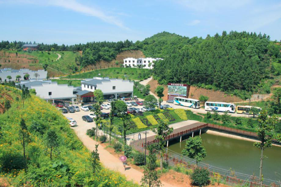 戶外拓展,自助燒烤,露營,會議團體接待，團建，