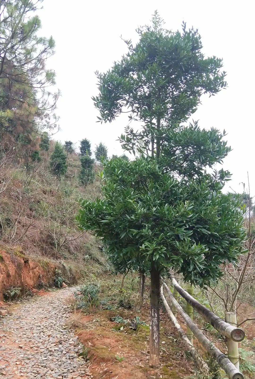 戶外拓展,自助燒烤,露營,會議團(tuán)體接待，團(tuán)建，