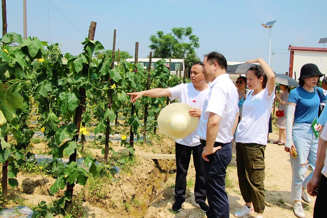 戶外拓展,自助燒烤,露營,會(huì)議團(tuán)體接待，團(tuán)建，