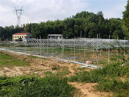 戶外拓展,自助燒烤,露營,會議團(tuán)體接待，團(tuán)建，
