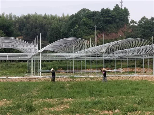 戶外拓展,自助燒烤,露營,會議團(tuán)體接待，團(tuán)建，
