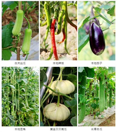 戶外拓展,自助燒烤,露營,會議團體接待，團建，
