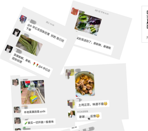 戶外拓展,自助燒烤,露營,會議團體接待，團建，