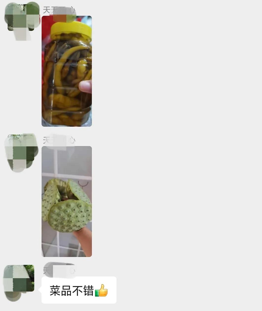 戶外拓展,自助燒烤,露營,會議團體接待，團建，