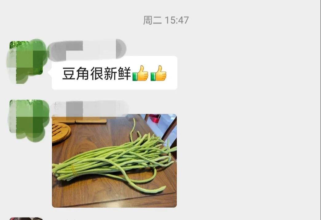 戶外拓展,自助燒烤,露營,會議團體接待，團建，