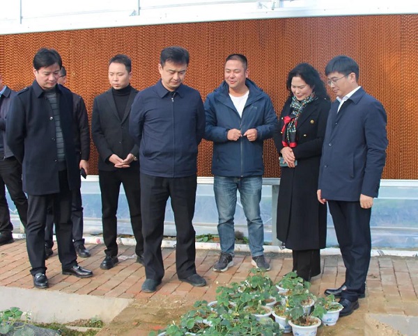 戶外拓展,自助燒烤,露營,會議團(tuán)體接待，團(tuán)建，