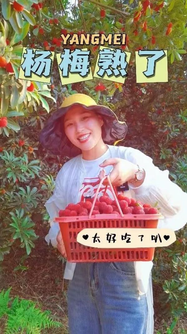 戶外拓展,自助燒烤,露營(yíng),會(huì)議團(tuán)體接待，團(tuán)建，