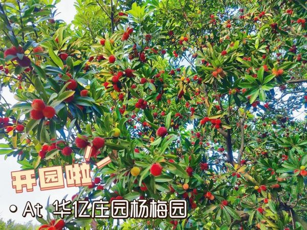 戶外拓展,自助燒烤,露營(yíng),會(huì)議團(tuán)體接待，團(tuán)建，