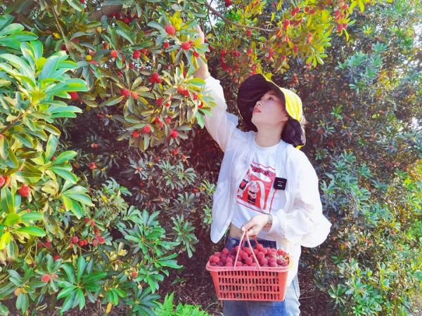 戶外拓展,自助燒烤,露營(yíng),會(huì)議團(tuán)體接待，團(tuán)建，