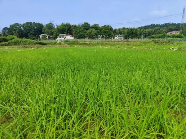 戶外拓展,自助燒烤,露營,會議團體接待，團建，