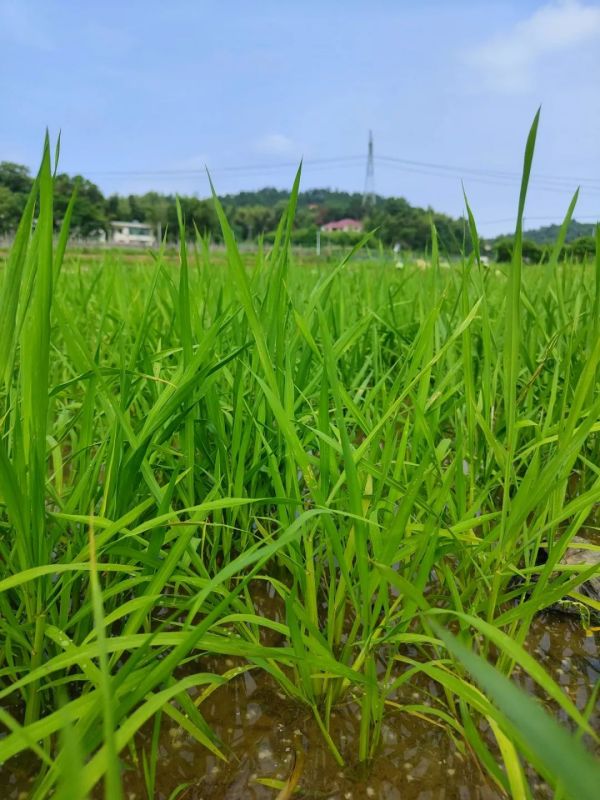戶外拓展,自助燒烤,露營,會議團體接待，團建，