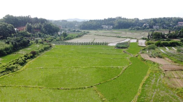 戶外拓展,自助燒烤,露營,會議團體接待，團建，