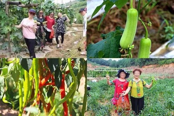 戶外拓展,自助燒烤,露營,會議團體接待，團建，