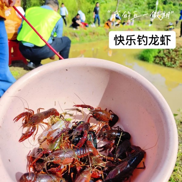 戶外拓展,自助燒烤,露營(yíng),會(huì)議團(tuán)體接待，團(tuán)建，